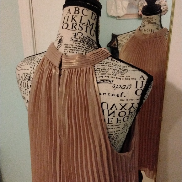 Women's accordion pleat formal champagne top by Worthington size XL Like New - Picture 3 of 5